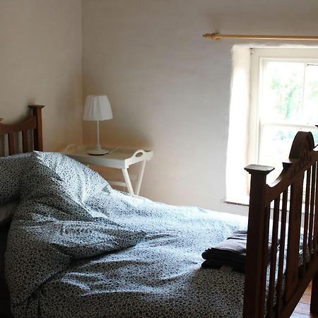 Relaxing Pet Friendly 2-Bed Cottage In Rhandirmwyn Llandovery Eksteriør bilde