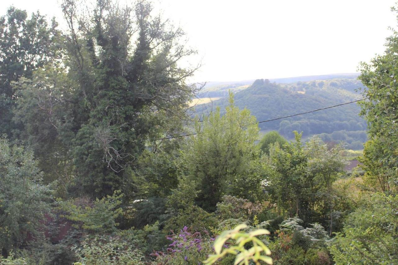 Relaxing Pet Friendly 2-Bed Cottage In Rhandirmwyn Llandovery Eksteriør bilde