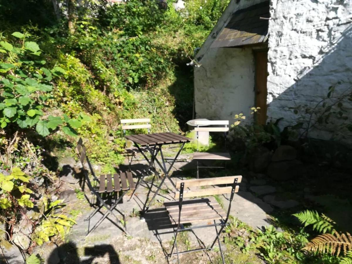 Relaxing Pet Friendly 2-Bed Cottage In Rhandirmwyn Llandovery Eksteriør bilde