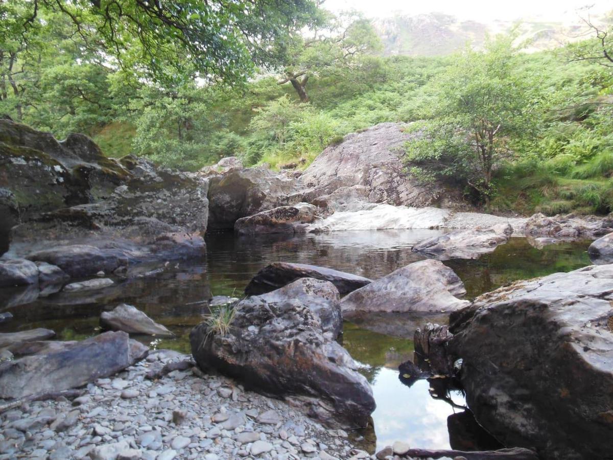 Relaxing Pet Friendly 2-Bed Cottage In Rhandirmwyn Llandovery Eksteriør bilde