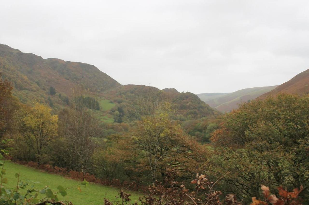 Relaxing Pet Friendly 2-Bed Cottage In Rhandirmwyn Llandovery Eksteriør bilde