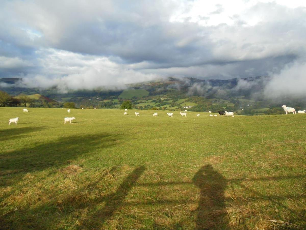Relaxing Pet Friendly 2-Bed Cottage In Rhandirmwyn Llandovery Eksteriør bilde